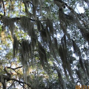 Meet your Posher, Krista